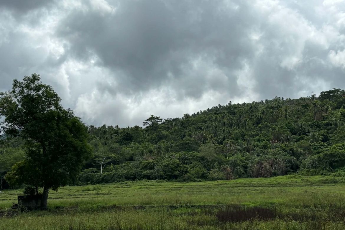 Land for Sale in Mat-I, Surigao City, Surigao del Norte – photo 4
