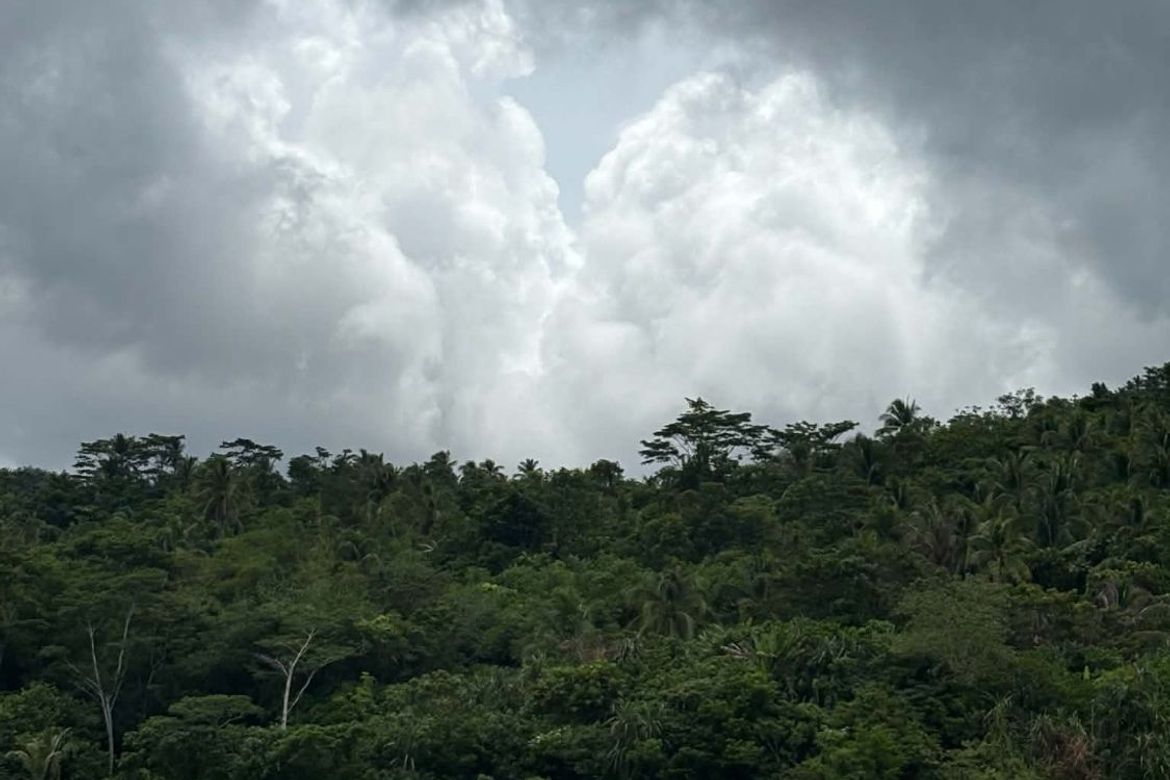 Land for Sale in Mat-I, Surigao City, Surigao del Norte – photo 7