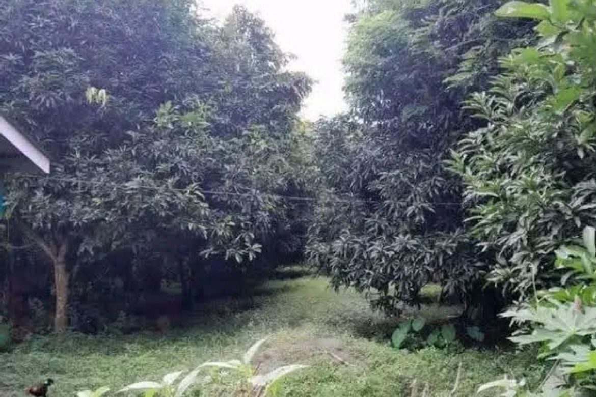 Land for Sale in Mataas Na Lupa, Taysan, Batangas – photo 3