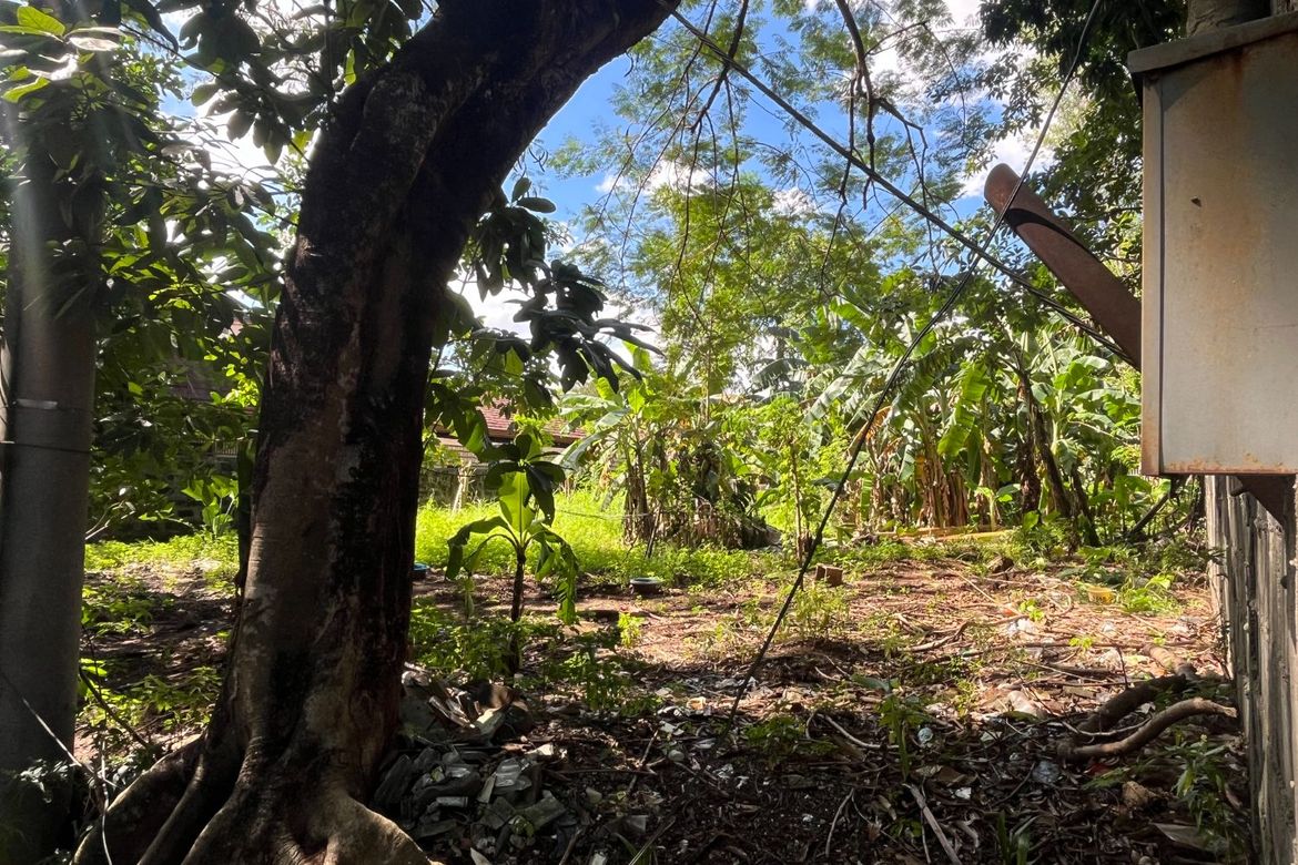 Land for Sale in Matandang Balara, Quezon City, Metro Manila – photo 2