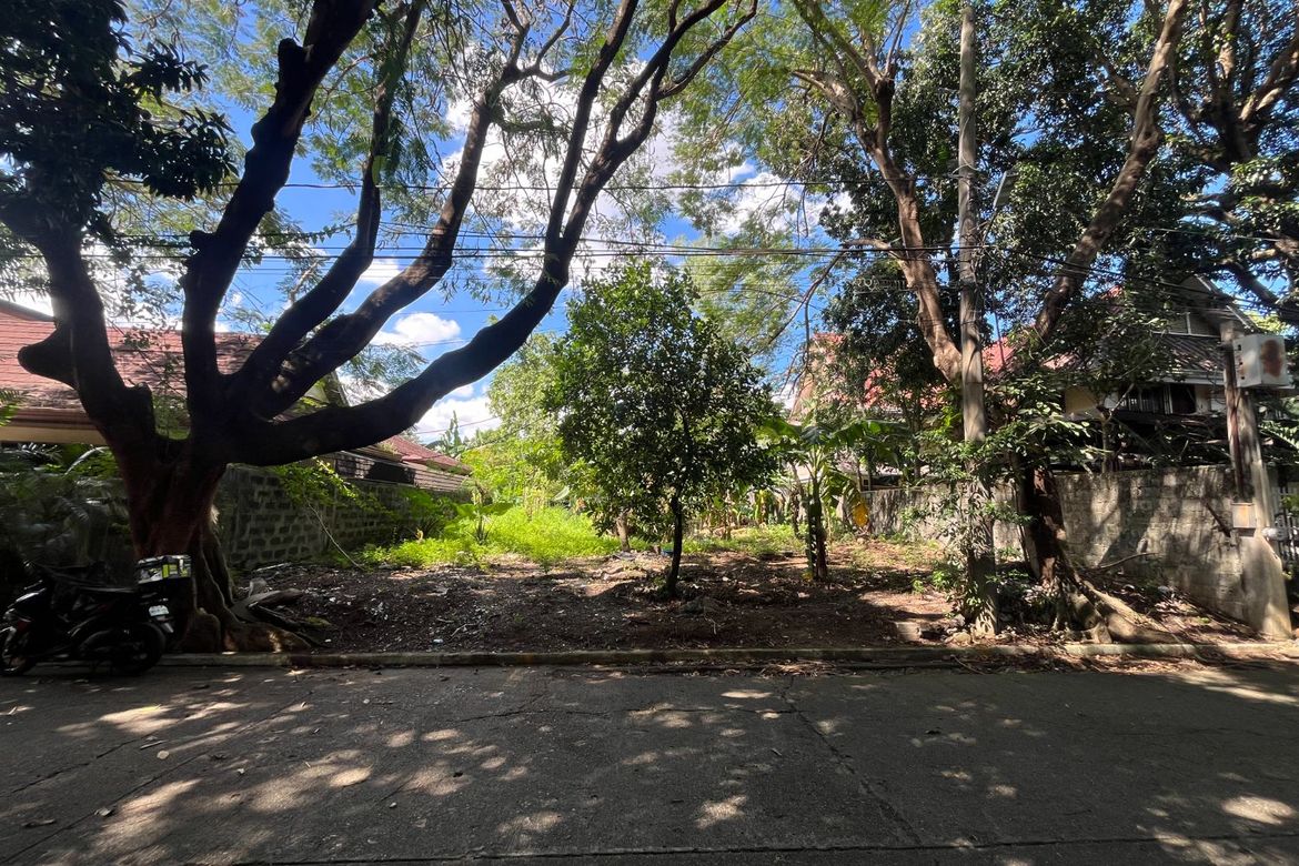 Land for Sale in Matandang Balara, Quezon City, Metro Manila – photo 3