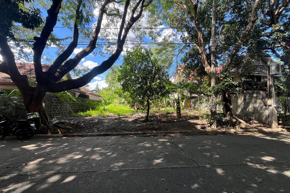 Land for Sale in Matandang Balara, Quezon City, Metro Manila – photo 4