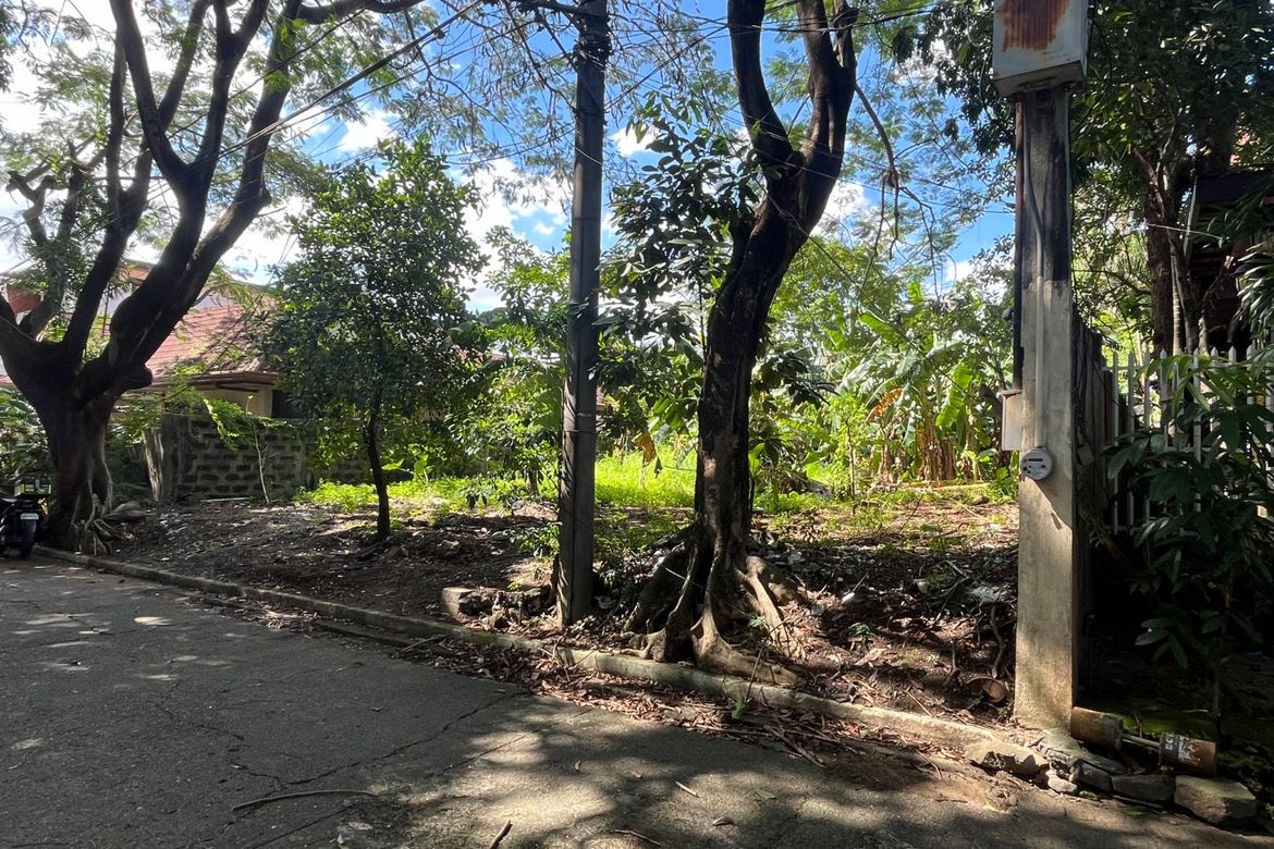Land for Sale in Matandang Balara, Quezon City, Metro Manila – photo 5