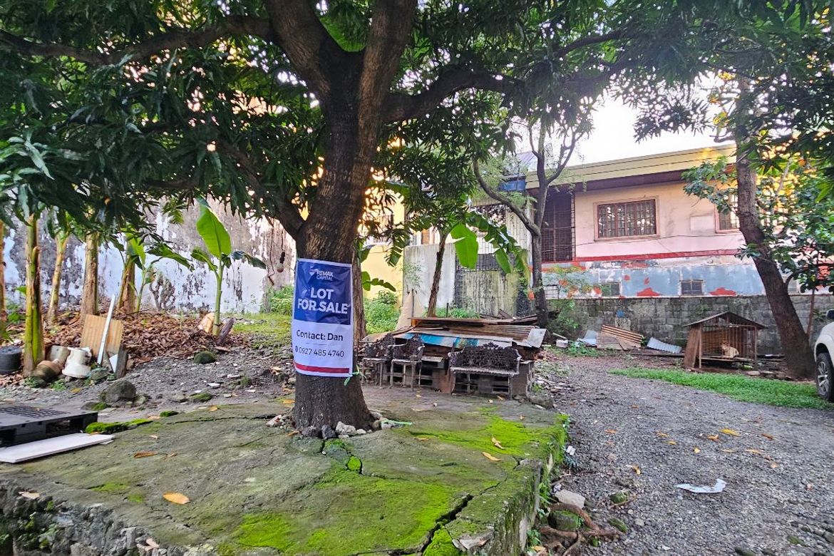 Land for Sale in Matandang Balara, Quezon City, Metro Manila – photo 5