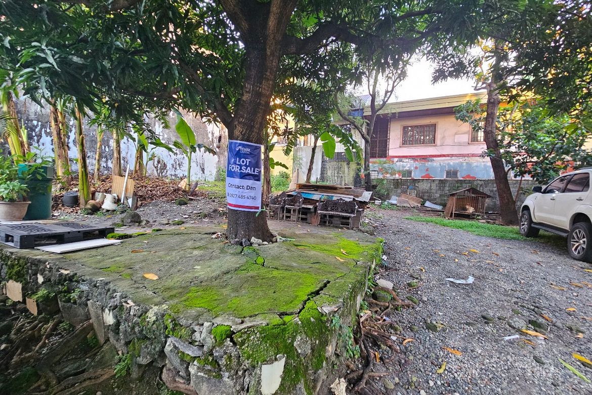 Land for Sale in Matandang Balara, Quezon City, Metro Manila – photo 8