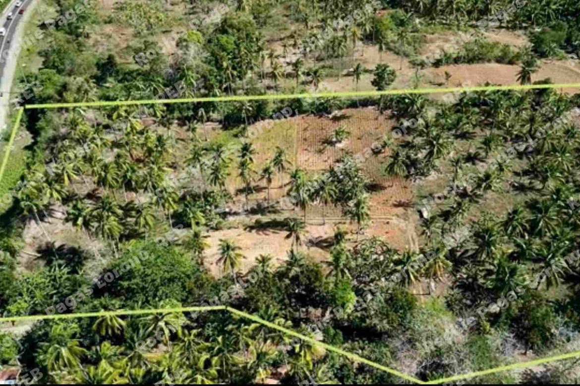 Land for Sale in Matangad, Gitagum, Misamis Oriental – photo 6
