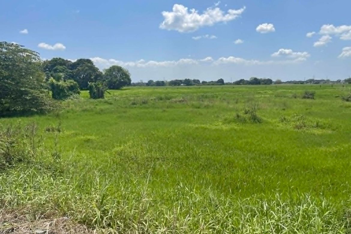 Land for Sale in Matangtubig, Baliuag, Bulacan – photo 2
