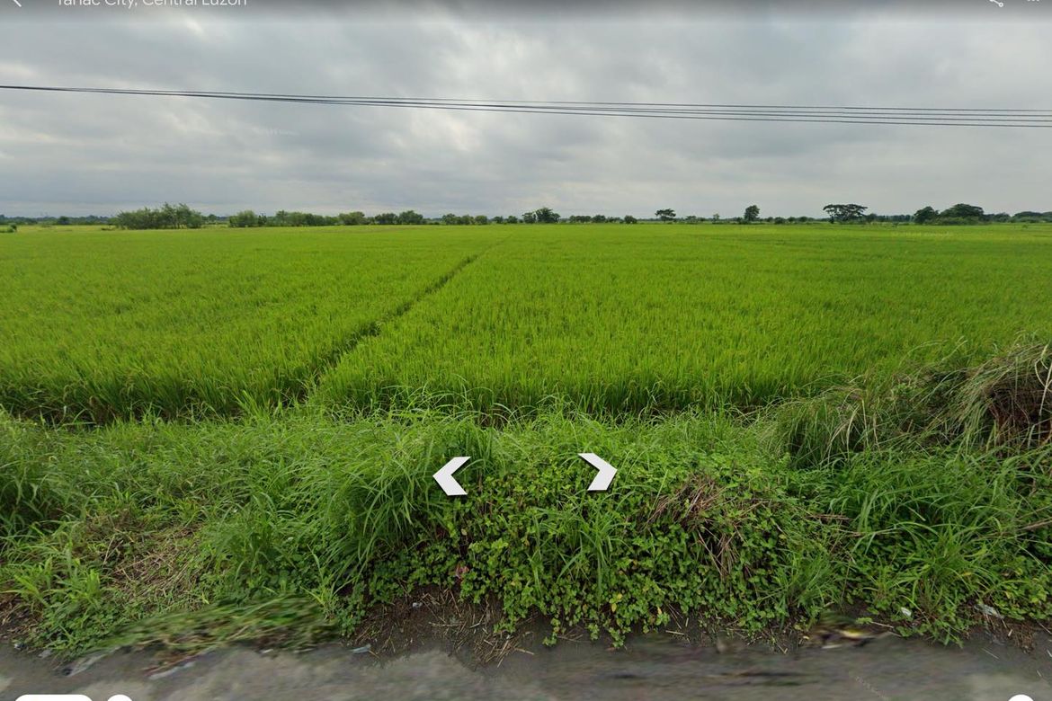 Land for Sale in Matatalaib, Tarlac, Tarlac – photo 2