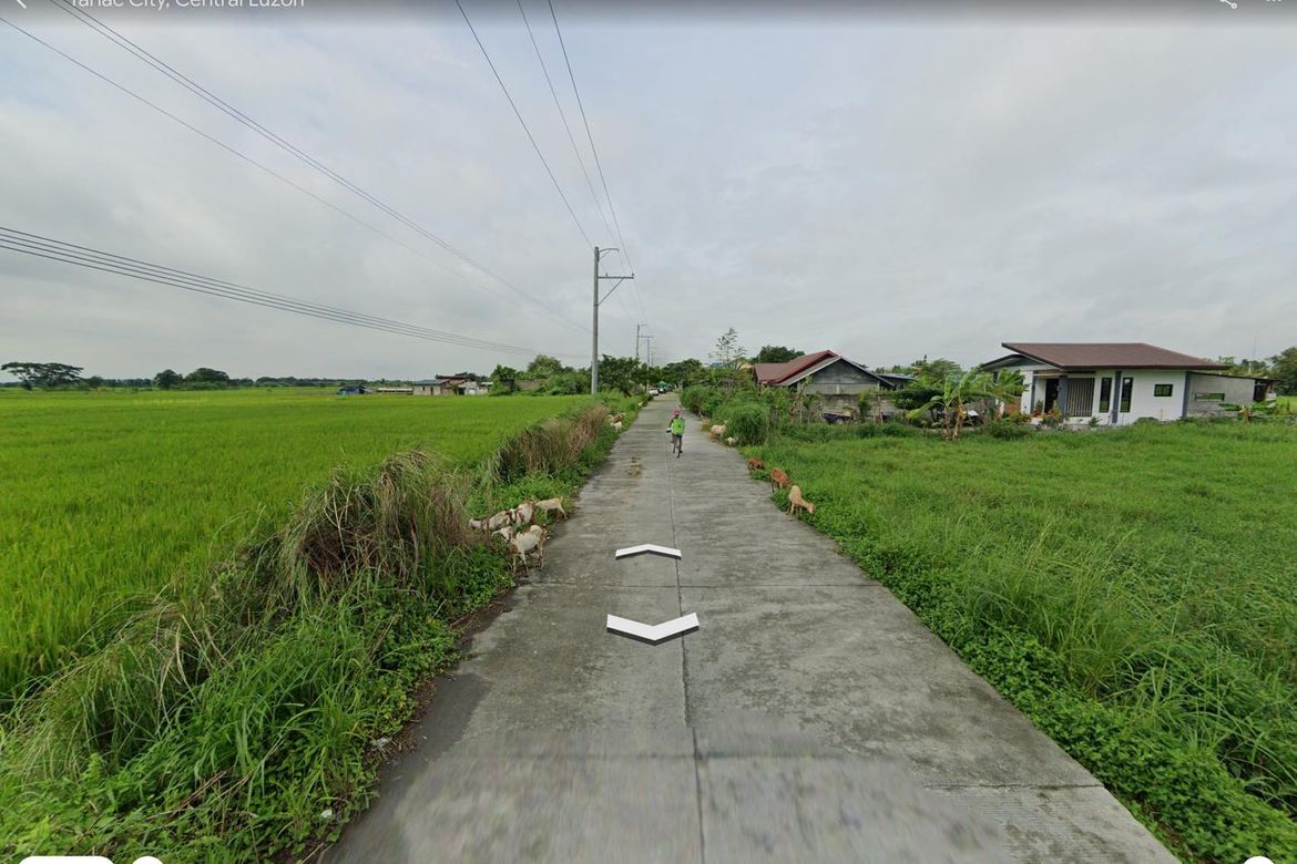 Land for Sale in Matatalaib, Tarlac, Tarlac – photo 4