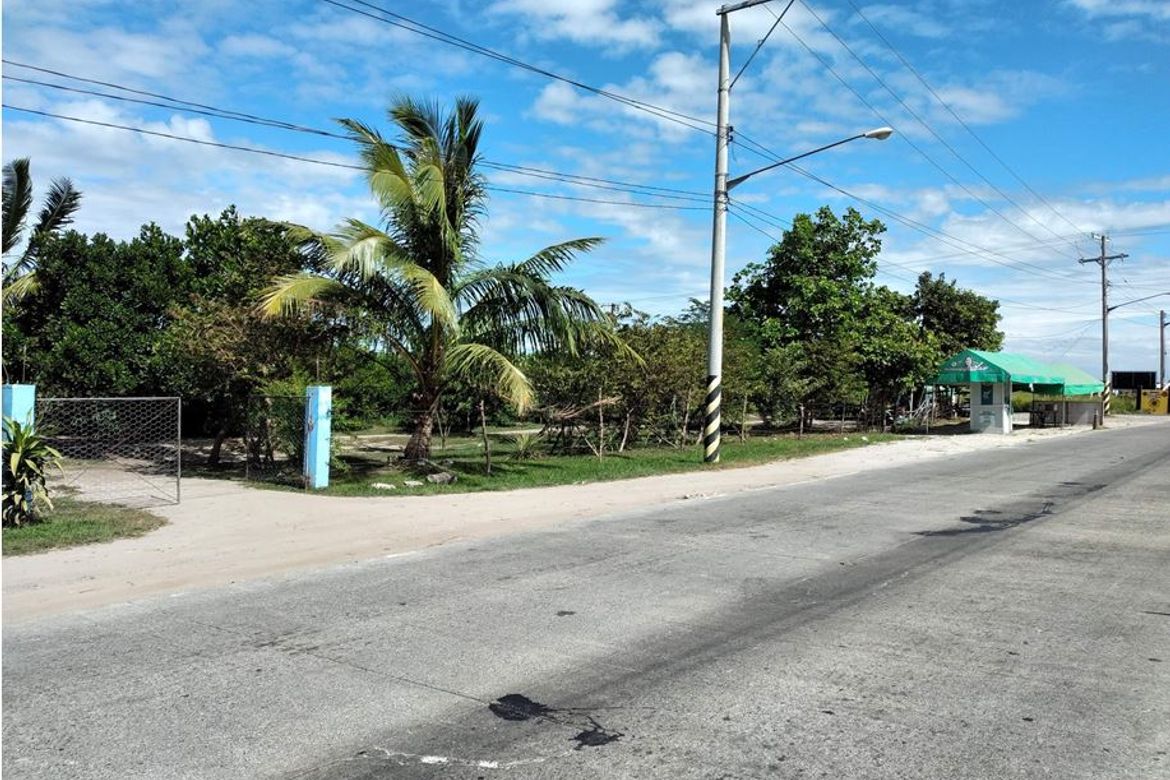 Land for Sale in Matatalaib, Tarlac, Tarlac – photo 4