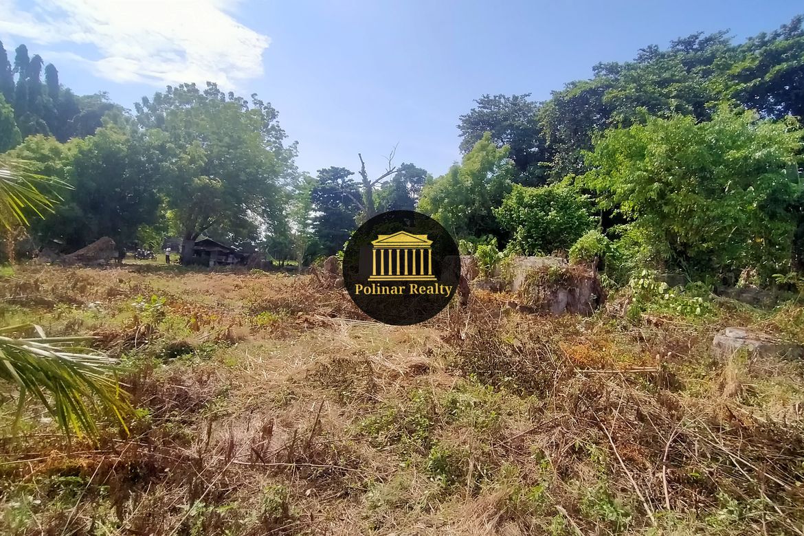 Land for Sale in Matina Aplaya, Davao City, Davao del Sur – photo 2
