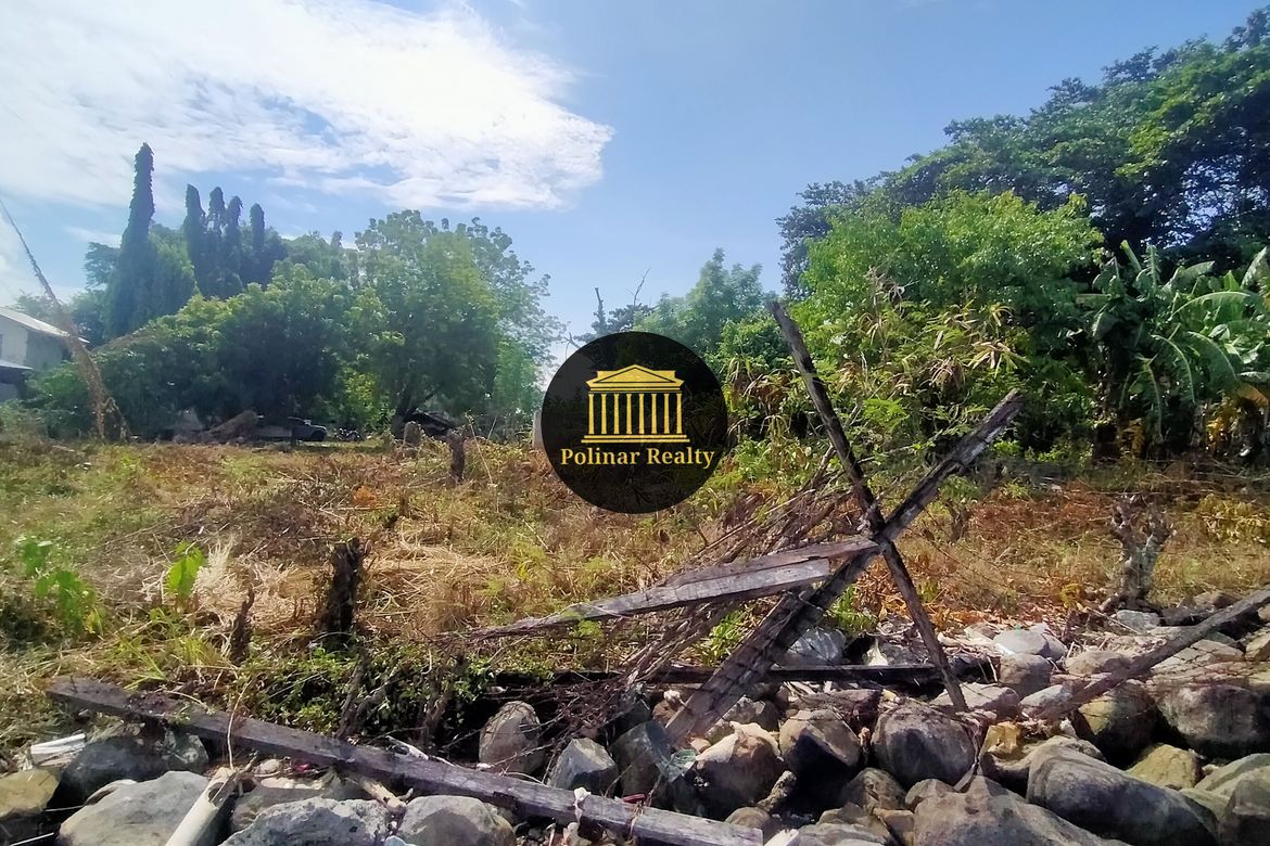 Land for Sale in Matina Aplaya, Davao City, Davao del Sur – photo 4
