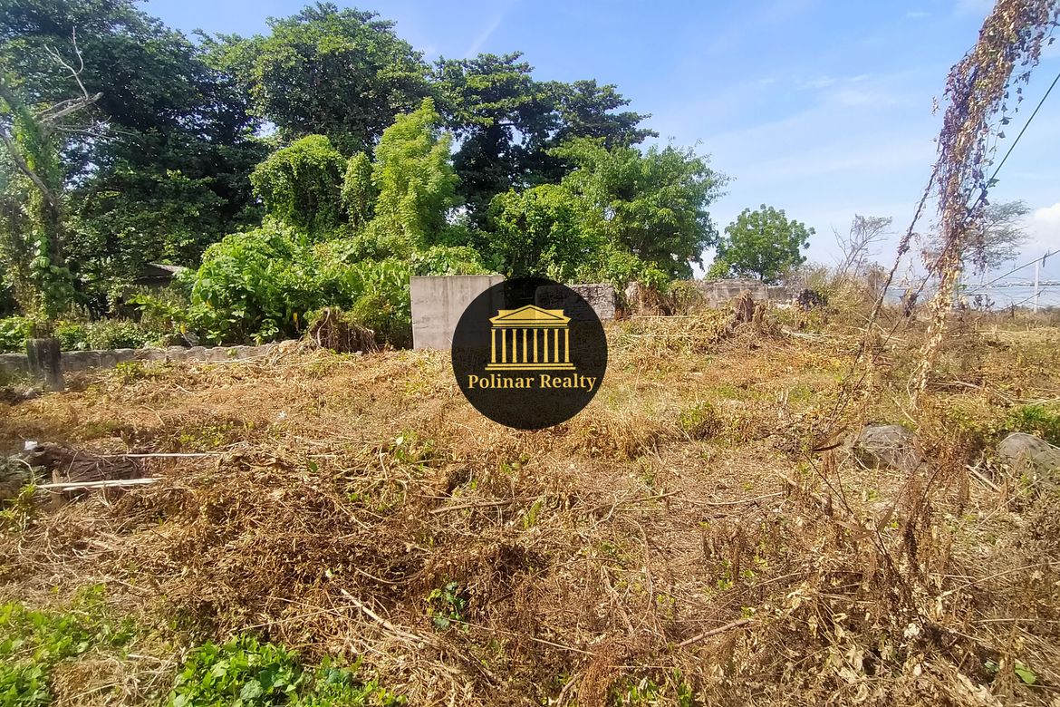 Land for Sale in Matina Aplaya, Davao City, Davao del Sur – photo 6