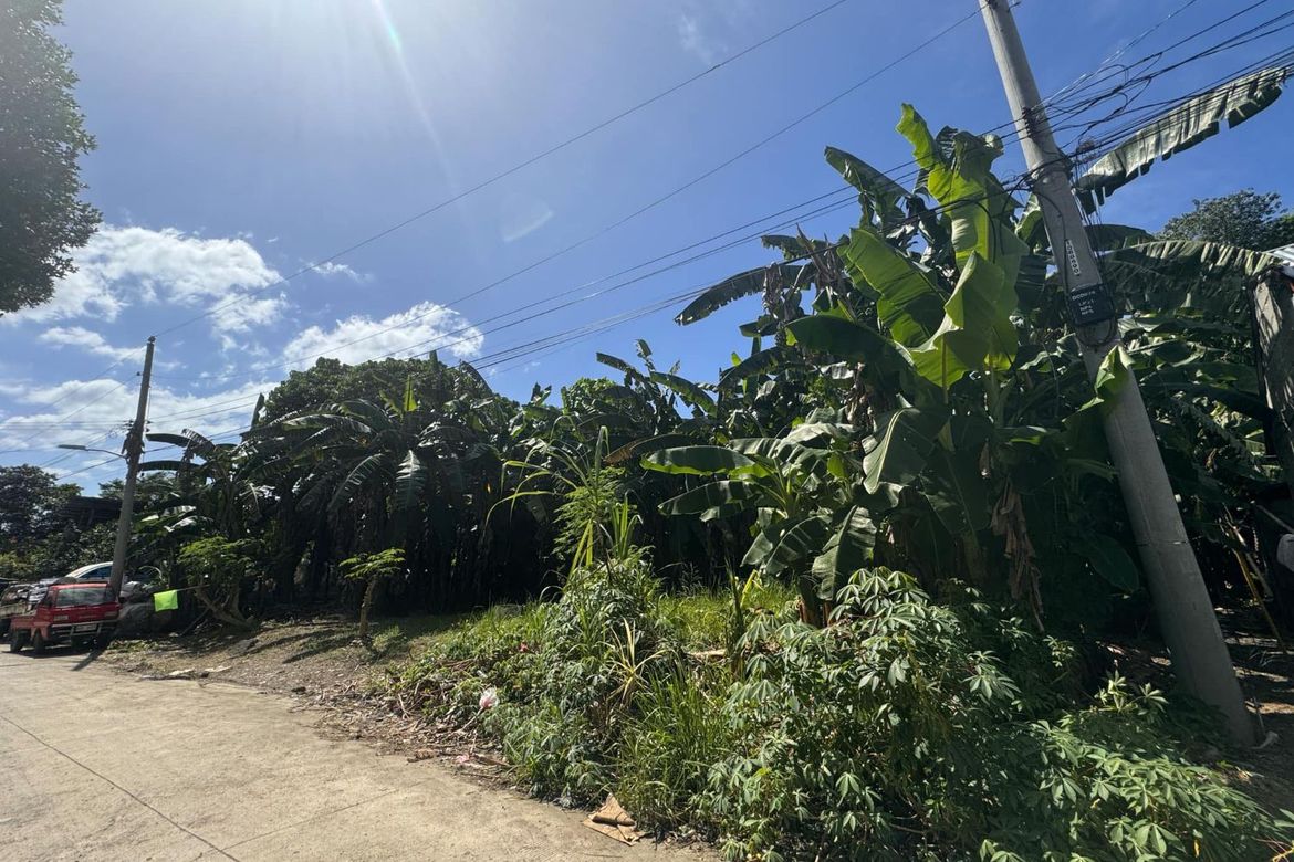 Land for Sale in Matina Pangi, Davao City, Davao del Sur – photo 3