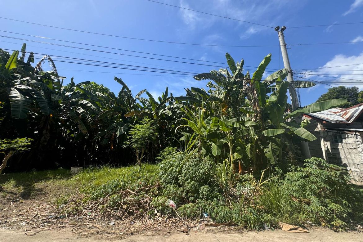 Land for Sale in Matina Pangi, Davao City, Davao del Sur – photo 6