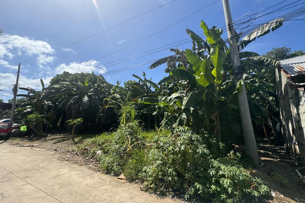 Land for Sale in Matina Pangi, Davao City, Davao del Sur – photo 7