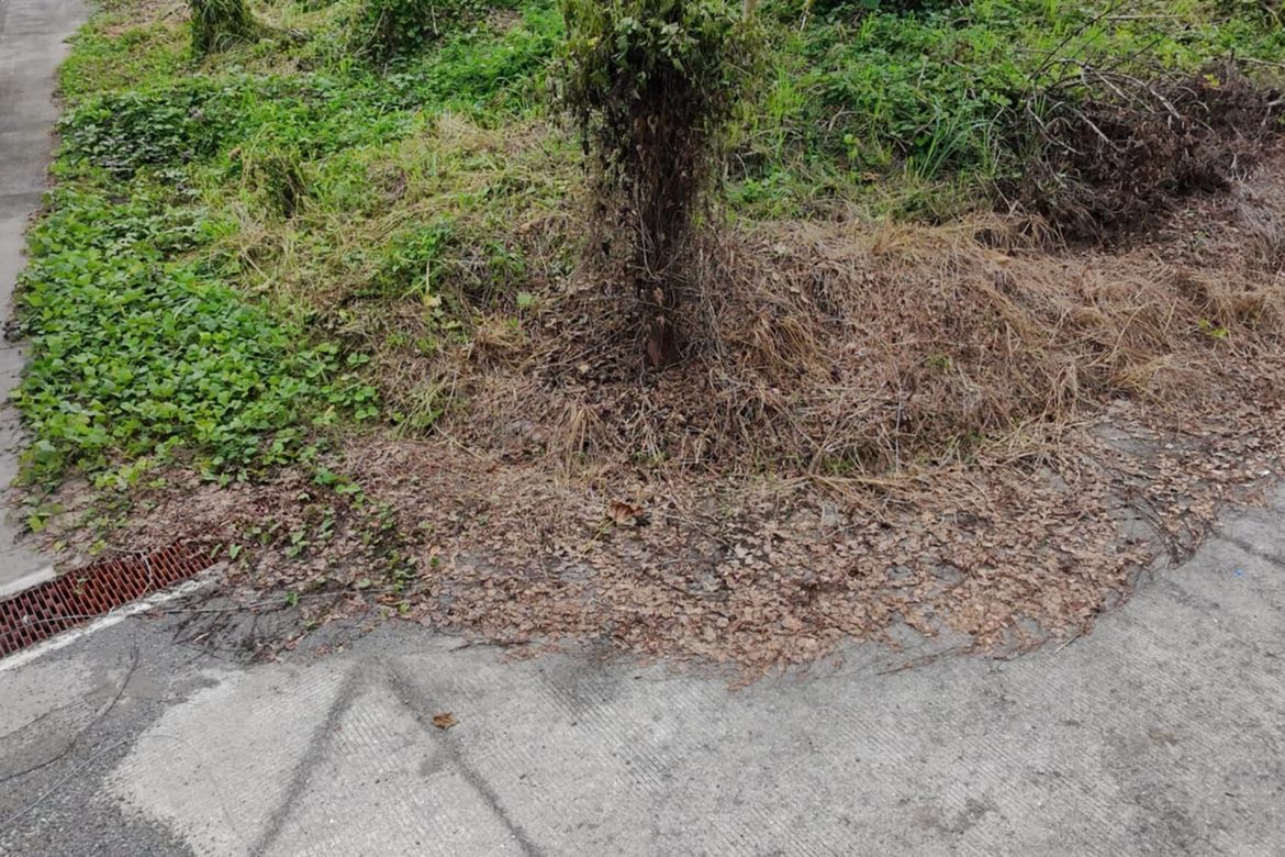 Land for Sale in Matina Pangi, Davao City, Davao del Sur – photo 7