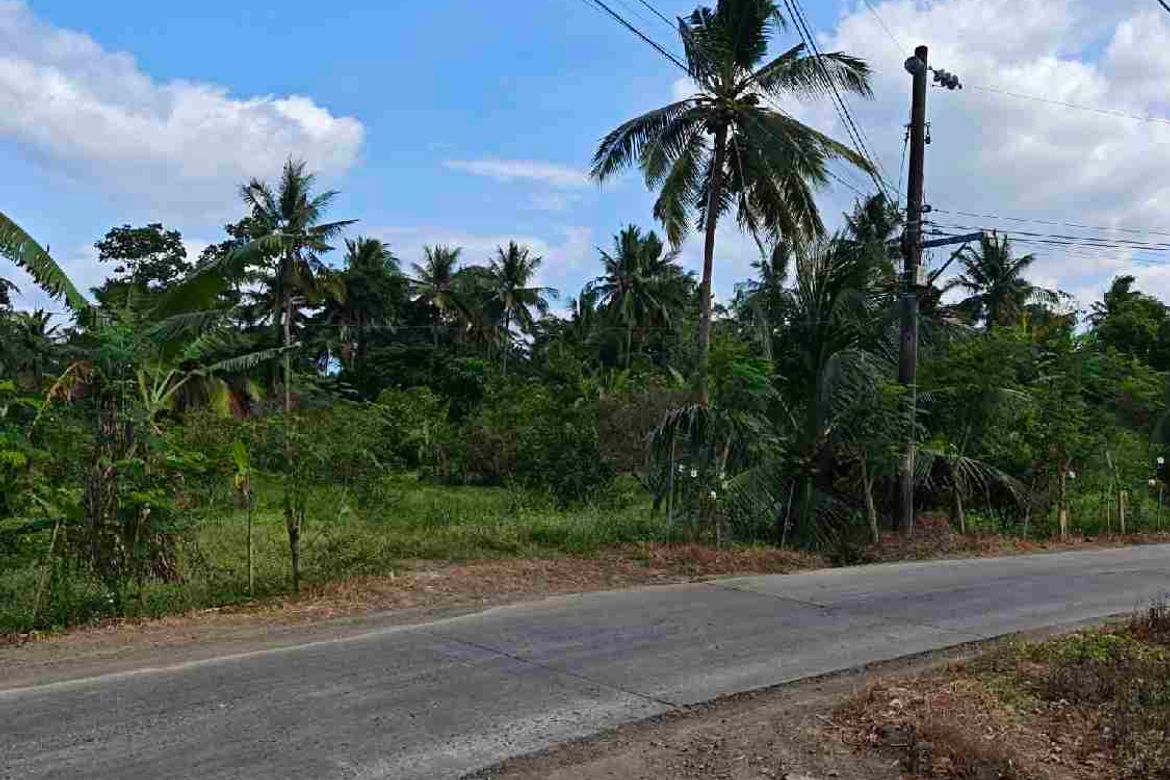 Land for Sale in Matipunso, San Antonio, Quezon – photo 3