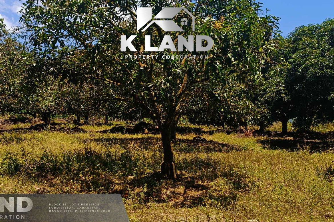 Land for Sale in Matti, Digos, Davao del Sur – photo 2