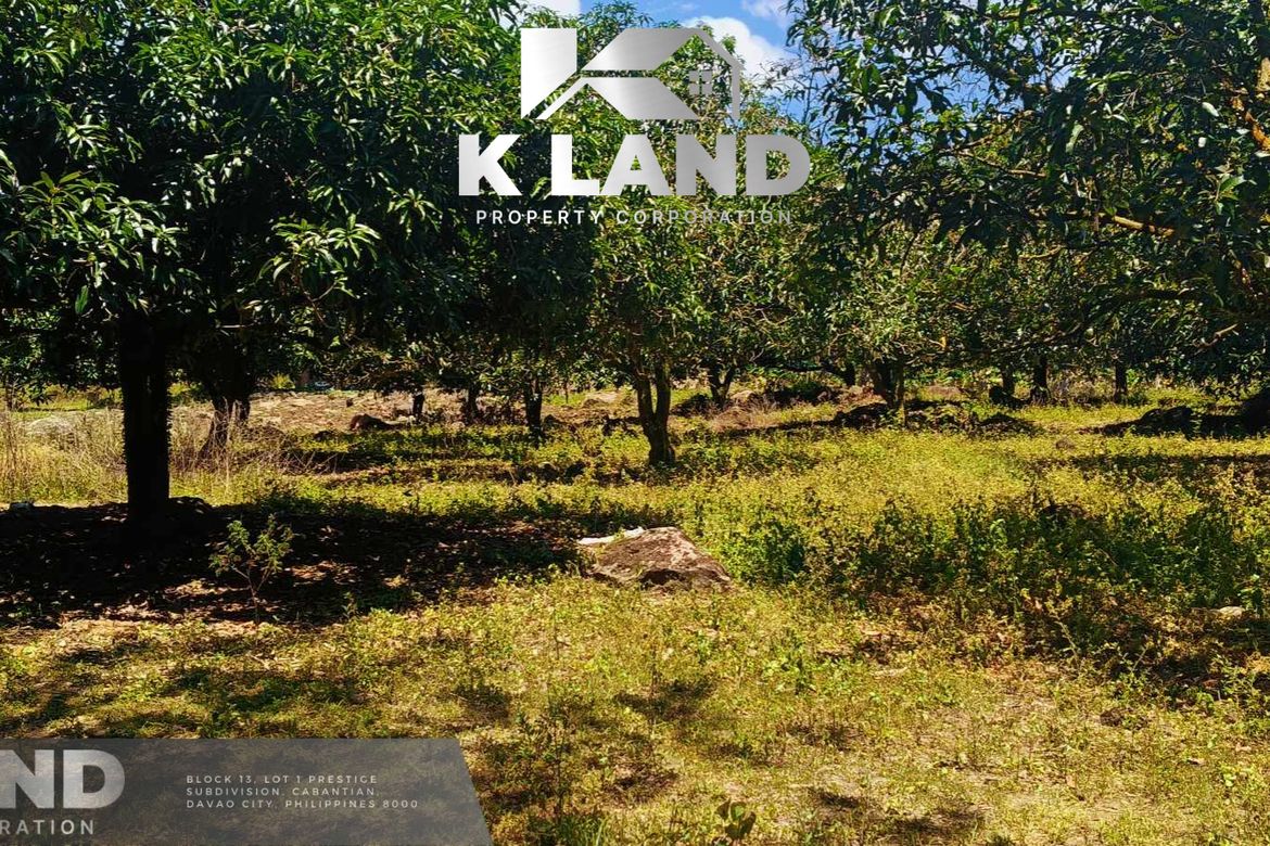 Land for Sale in Matti, Digos, Davao del Sur – photo 4