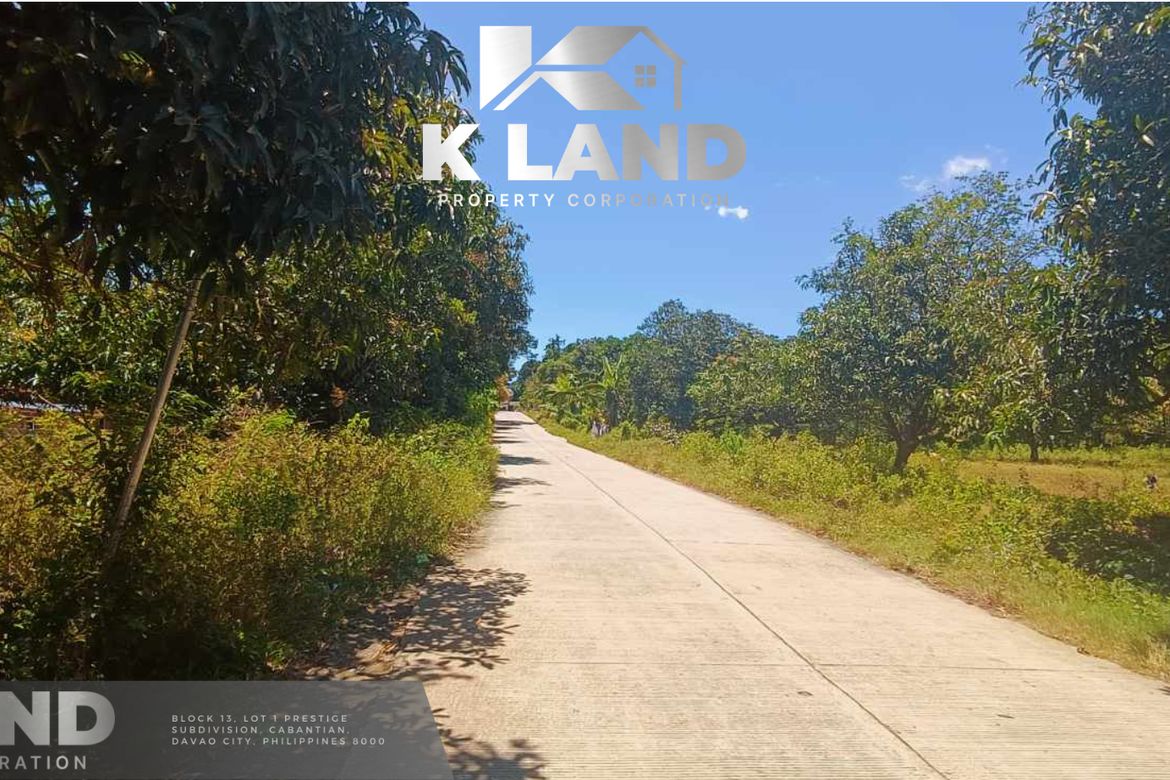 Land for Sale in Matti, Digos, Davao del Sur – photo 5