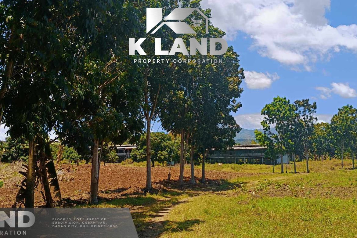 Land for Sale in Matti, Digos, Davao del Sur – photo 6