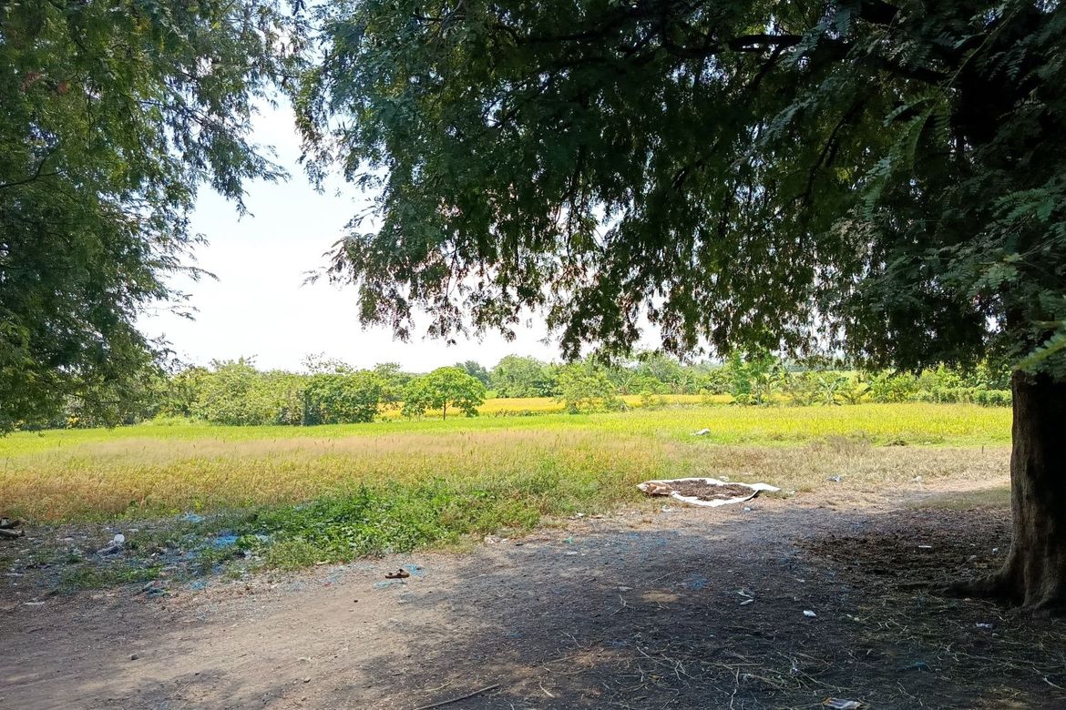 Land for Sale in Matusalem, Roxas, Isabela – photo 4