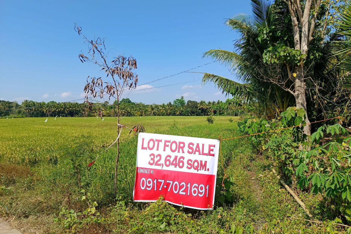 Land for Sale in Matusalem, Roxas, Isabela – photo 6