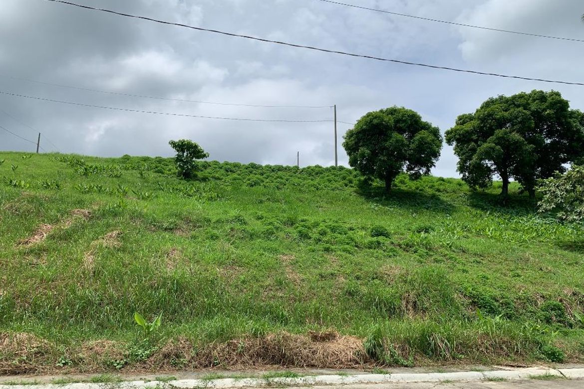 Land for Sale in Maugat, Nasugbu, Batangas – photo 8