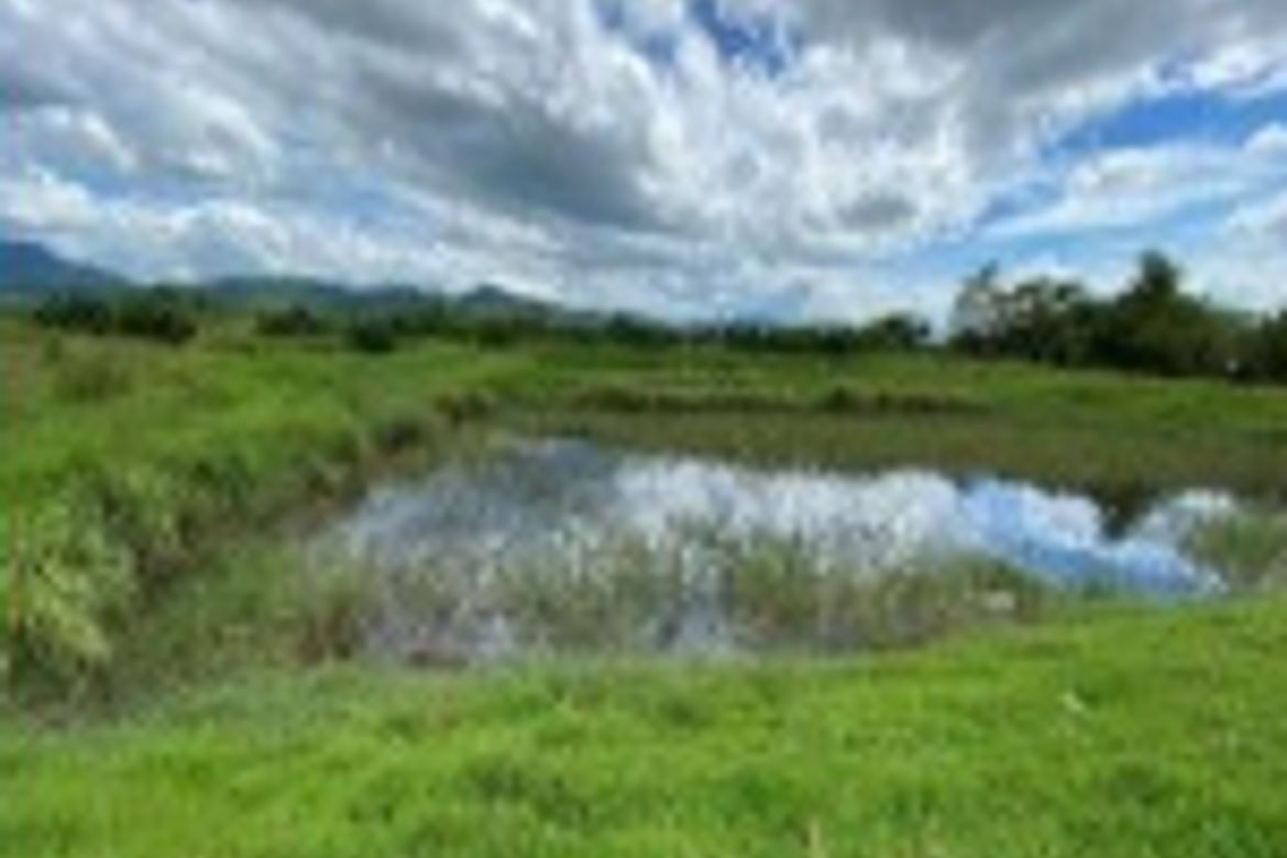 Land for Sale in Maugat, Nasugbu, Batangas – photo 2