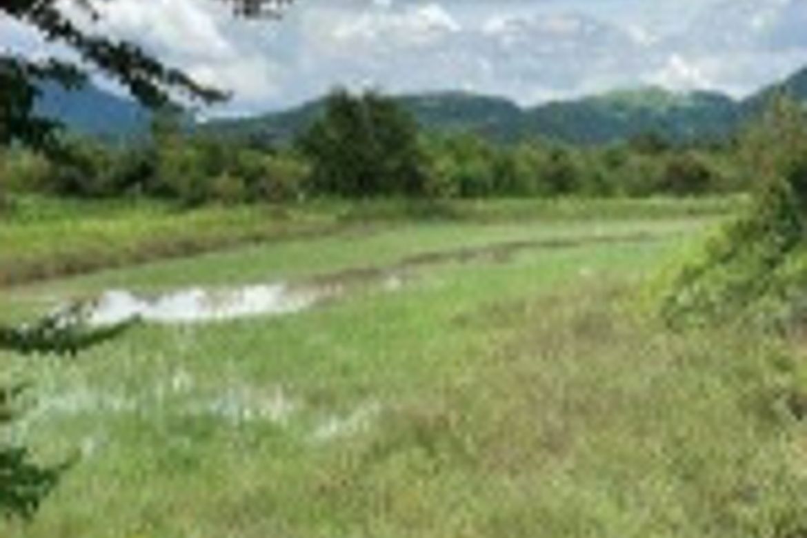 Land for Sale in Maugat, Nasugbu, Batangas – photo 3