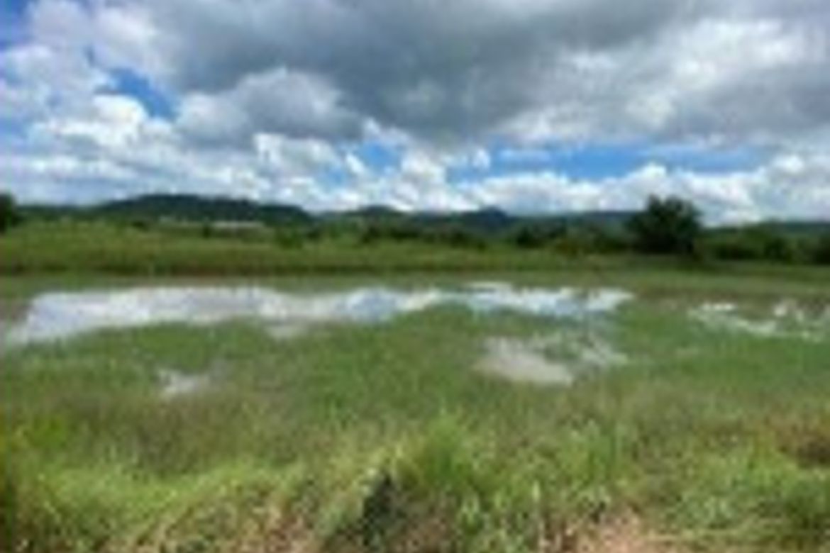 Land for Sale in Maugat, Nasugbu, Batangas – photo 7