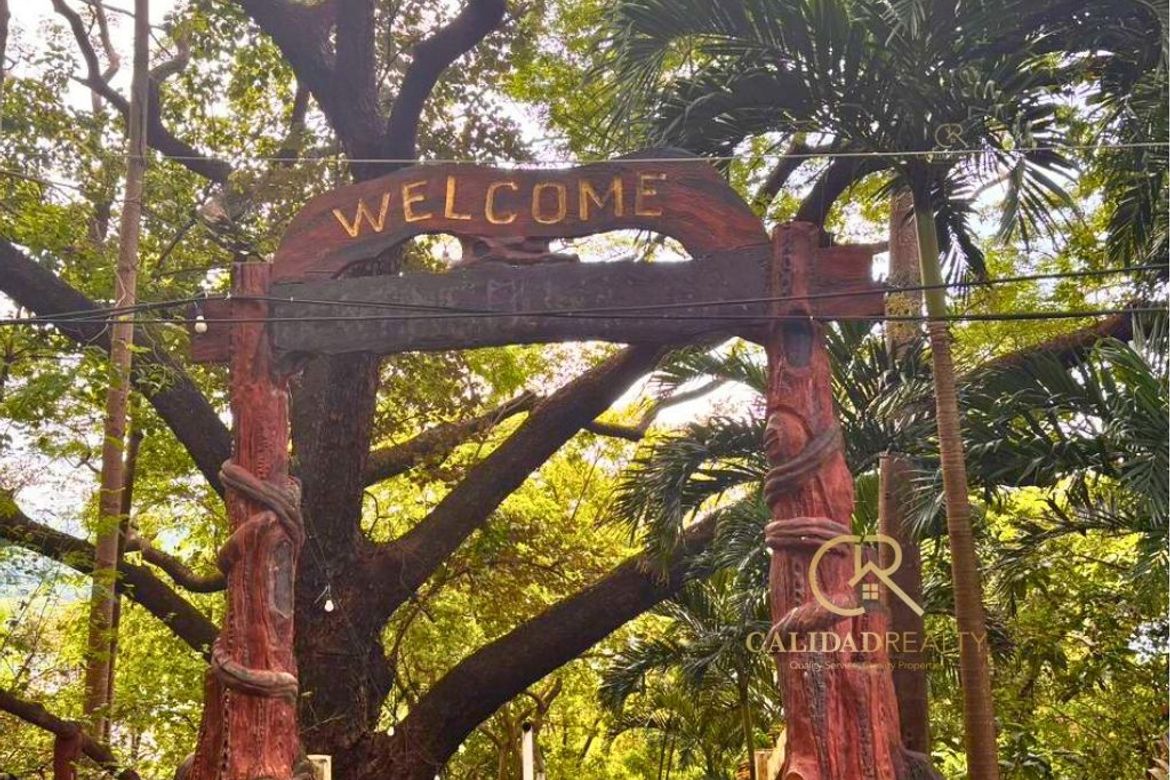 Land for Sale in Maugat, Nasugbu, Batangas – photo 3