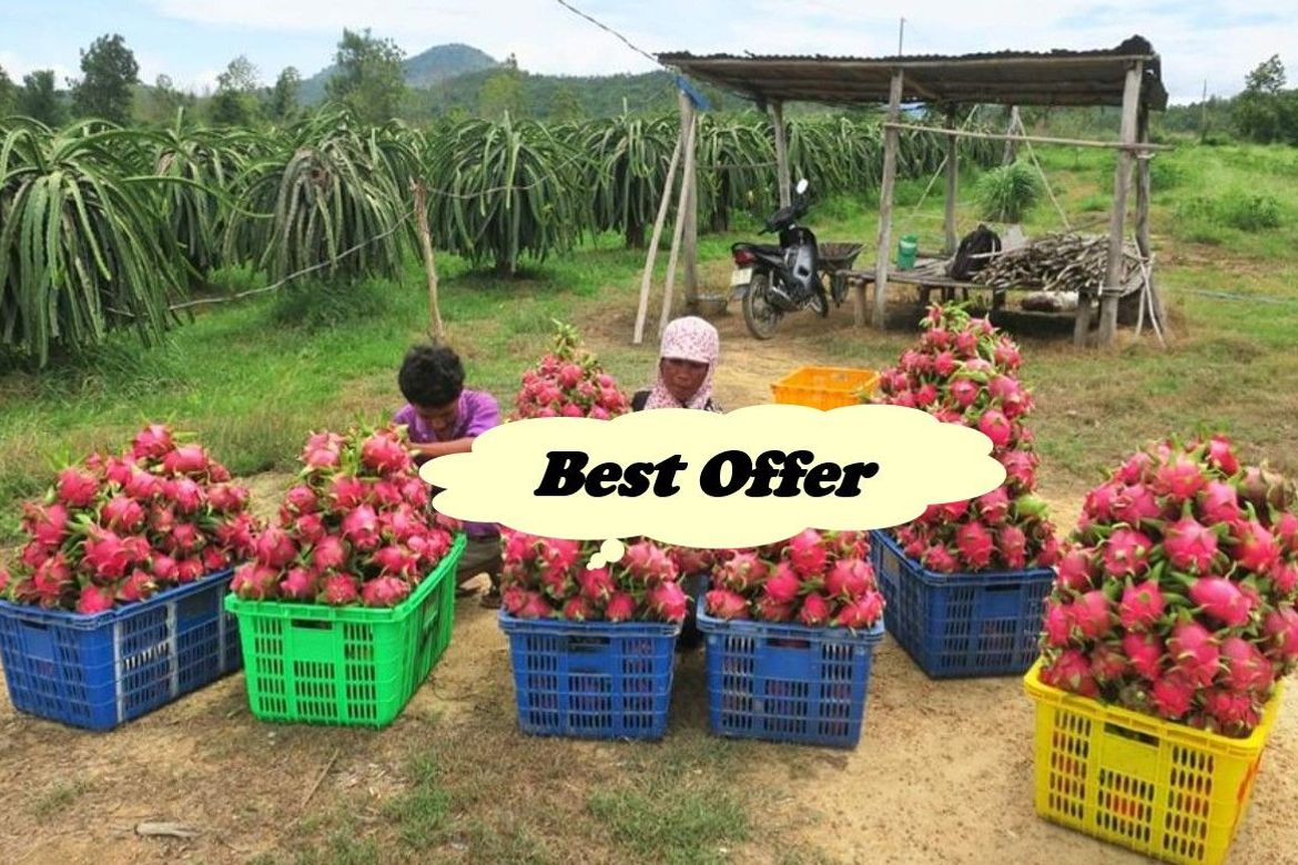 Land for Sale in Maugat, Nasugbu, Batangas
