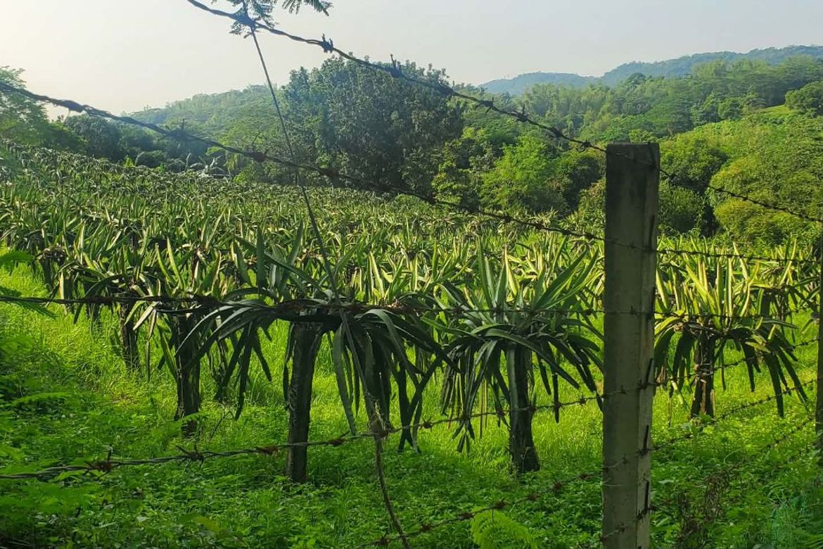 Land for Sale in Maugat, Nasugbu, Batangas – photo 3