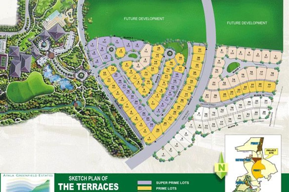 Land for Sale in Maunong, Calamba, Laguna – photo 5