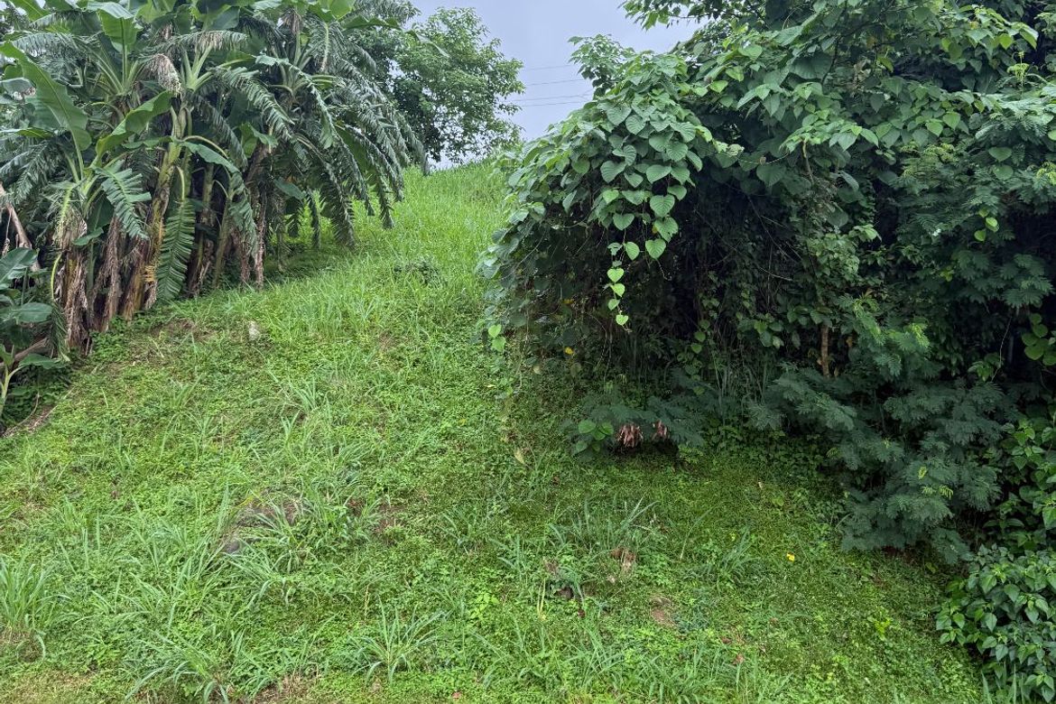 Land for Sale in Maunong, Calamba, Laguna – photo 4