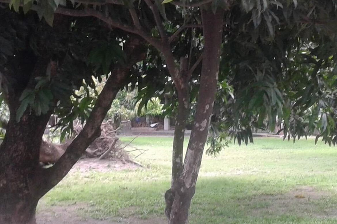 Land for Sale in Mawaque, Mabalacat, Pampanga