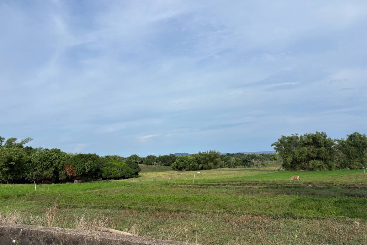 Land for Sale in Mayabon, Zamboanguita, Negros Oriental
