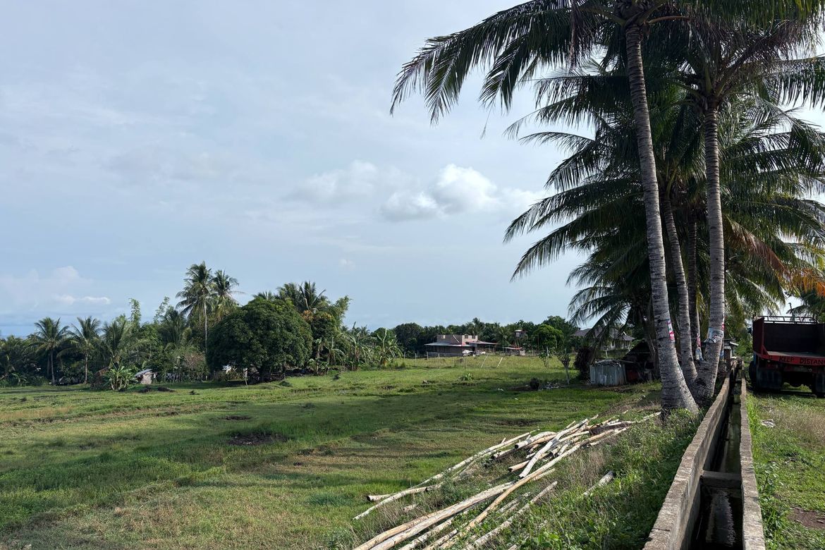 Land for Sale in Mayabon, Zamboanguita, Negros Oriental – photo 2