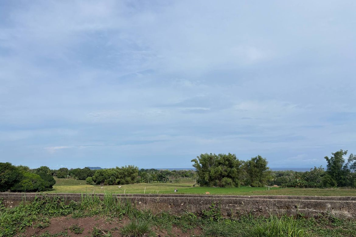 Land for Sale in Mayabon, Zamboanguita, Negros Oriental – photo 3