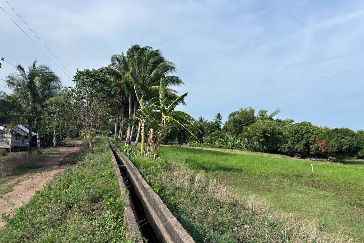 Land for Sale in Mayabon, Zamboanguita, Negros Oriental – photo 4