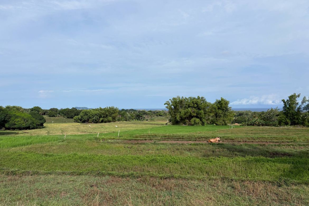 Land for Sale in Mayabon, Zamboanguita, Negros Oriental – photo 5