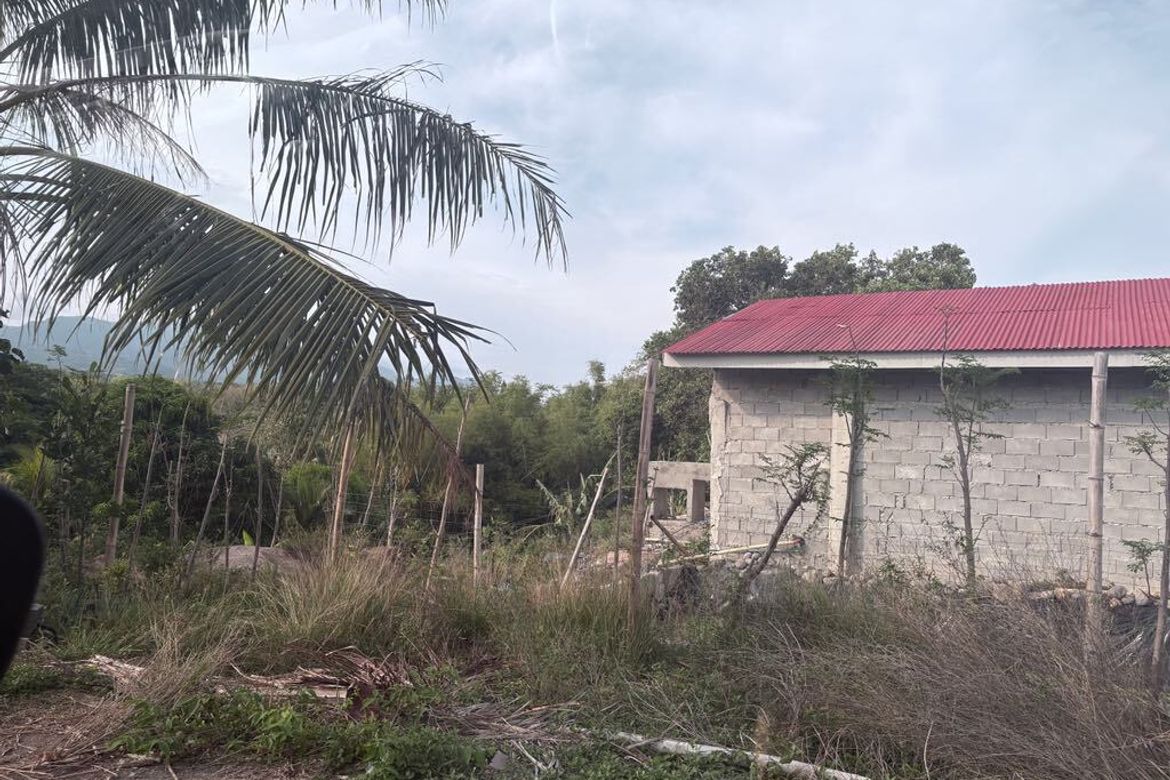 Land for Sale in Mayabon, Zamboanguita, Negros Oriental – photo 6