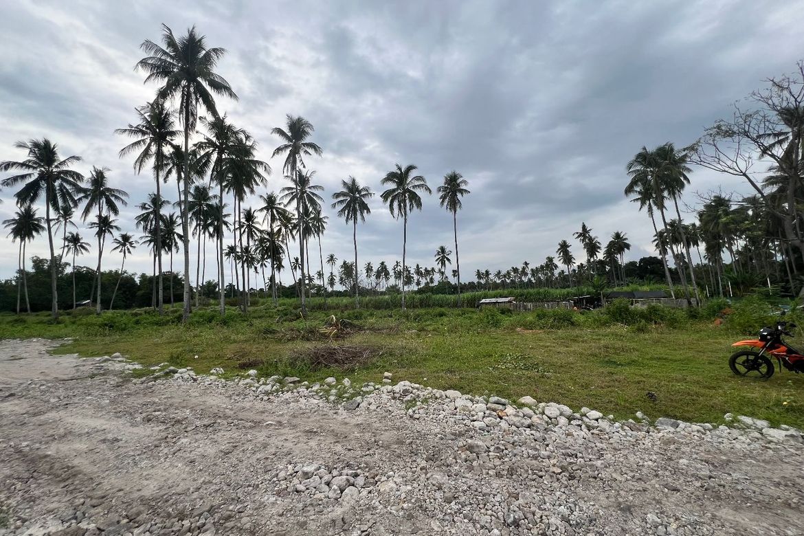 Land for Sale in Mayabon, Zamboanguita, Negros Oriental