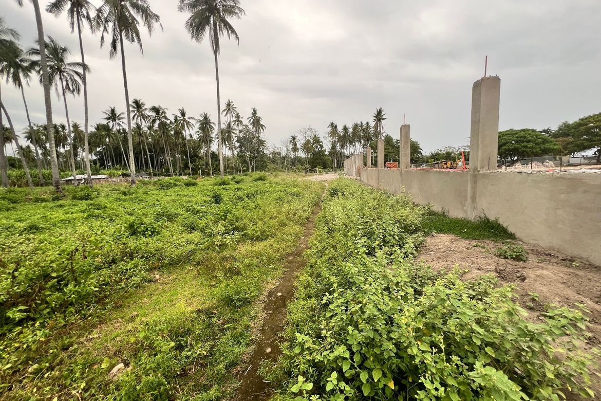 Land for Sale in Mayabon, Zamboanguita, Negros Oriental – photo 2