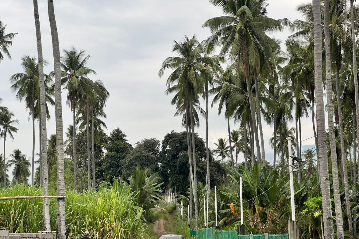 Land for Sale in Mayabon, Zamboanguita, Negros Oriental – photo 7