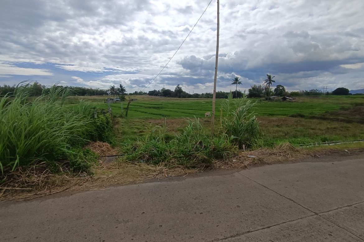 Land for Sale in Mayabon, Zamboanguita, Negros Oriental