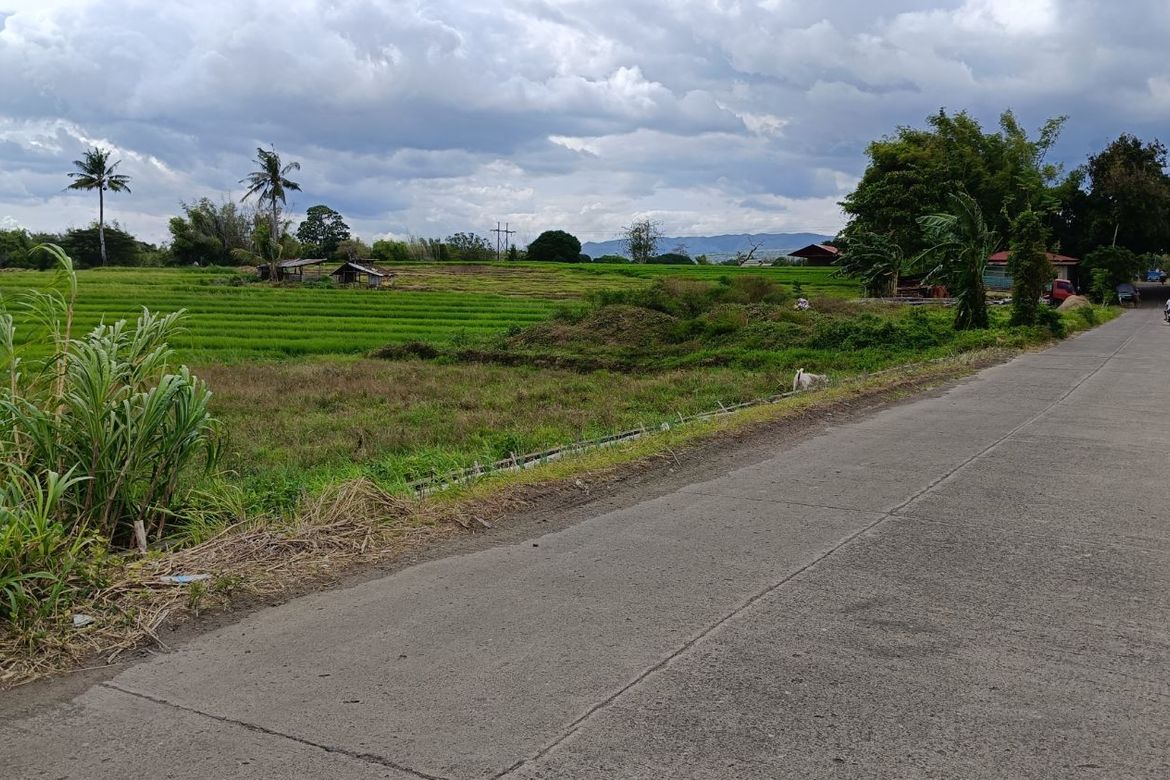 Land for Sale in Mayabon, Zamboanguita, Negros Oriental – photo 2