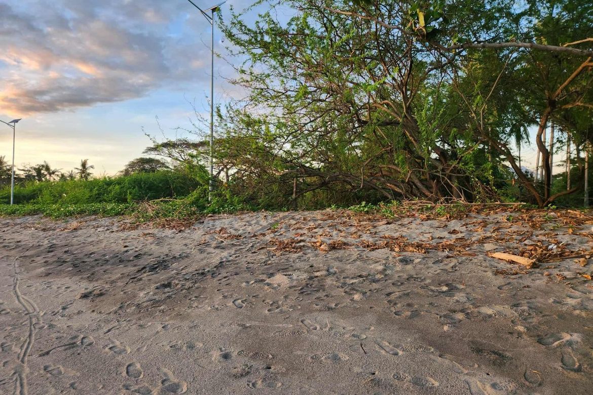 Land for Sale in Mayabon, Zamboanguita, Negros Oriental – photo 2